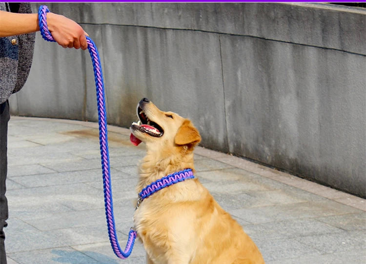 Dog collar chain necklet