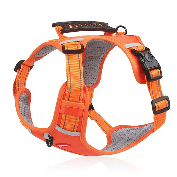 Adjustable Dog Harness