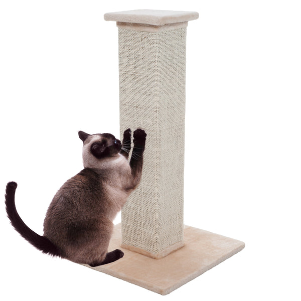 Cat Scratching Post