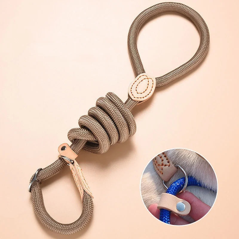 Adjustable Collar Harness Dog