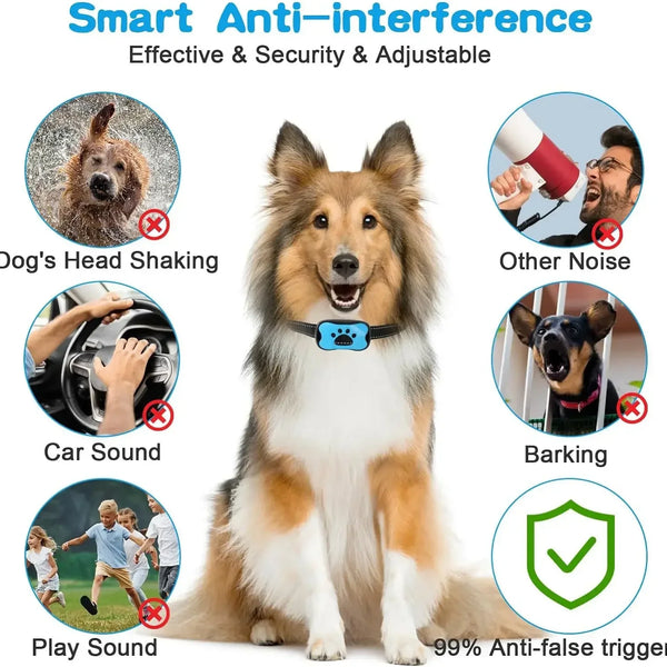 Anti Barking Dog Collar USB Device
