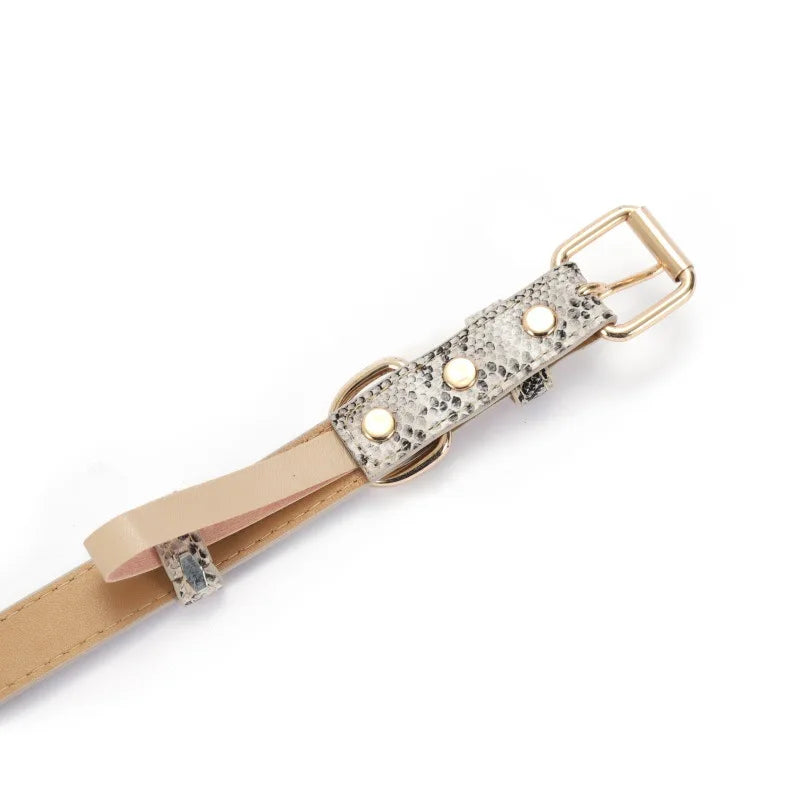 Adjustable Metal Buckle Dog Collar