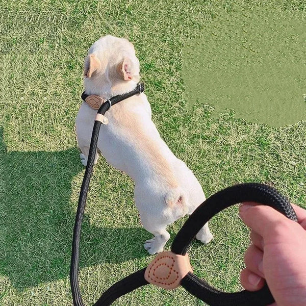 Adjustable Collar Harness Dog