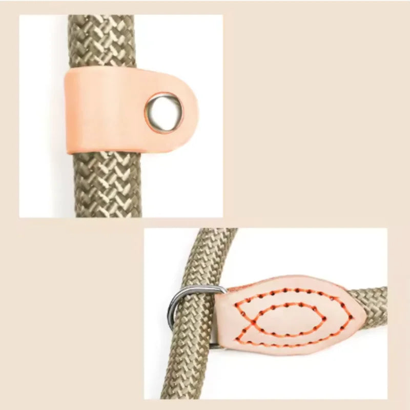 Adjustable Collar Harness Dog