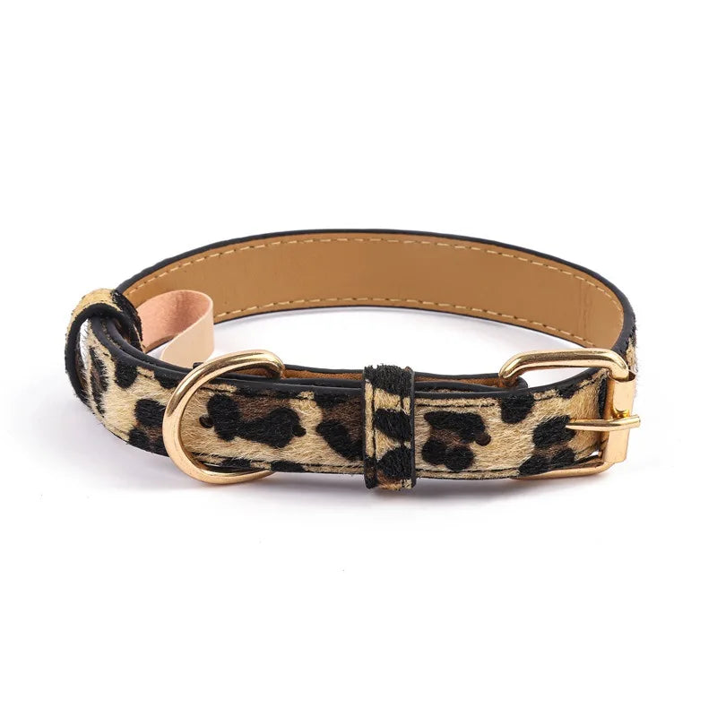 Adjustable Metal Buckle Dog Collar
