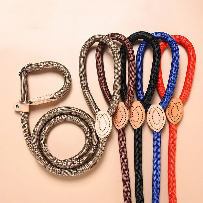 Adjustable Collar Harness Dog