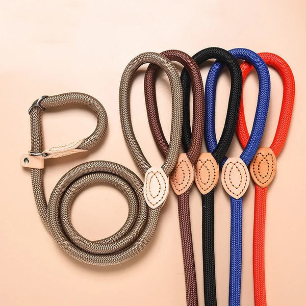 Adjustable Collar Harness Dog