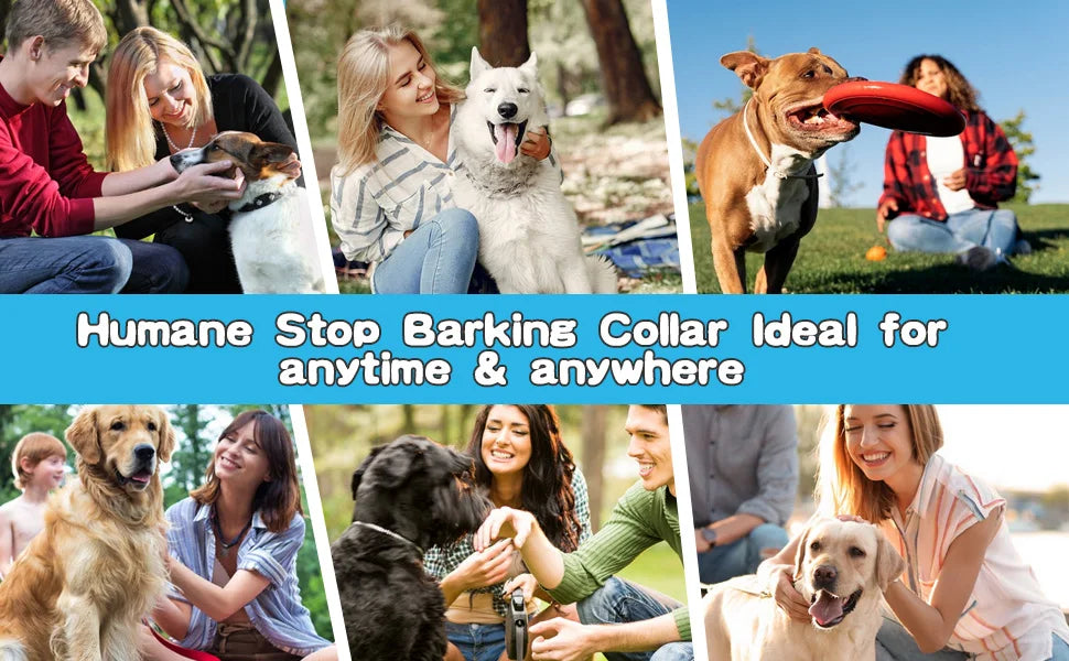 Anti Barking Dog Collar USB Device