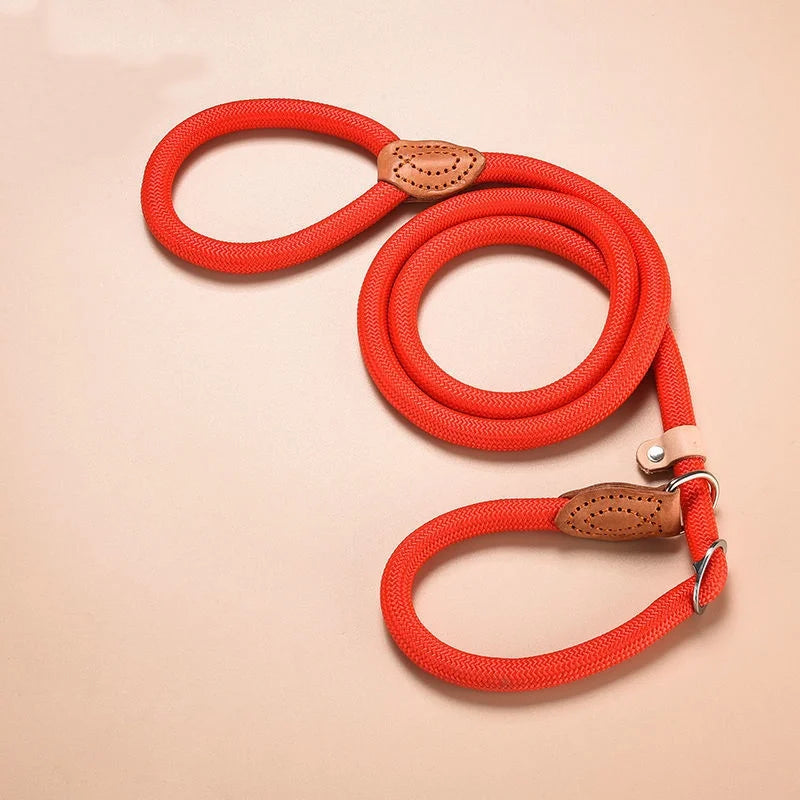 Adjustable Collar Harness Dog