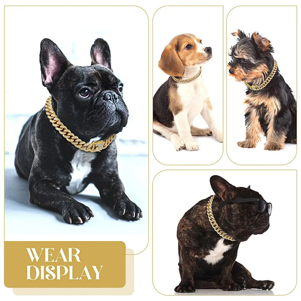 Metal Dog Chain Collar Diamond