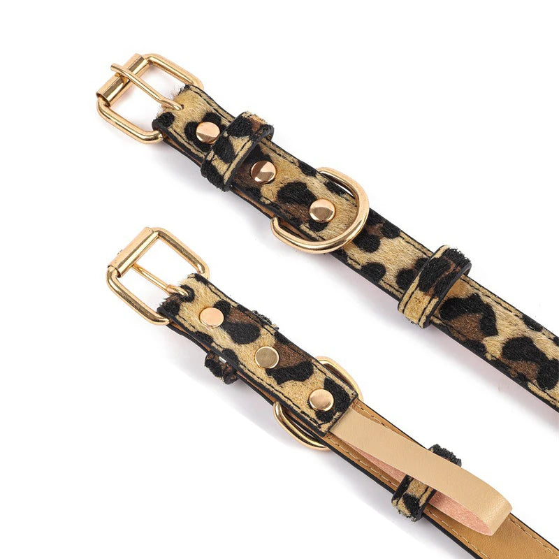 Adjustable Metal Buckle Dog Collar