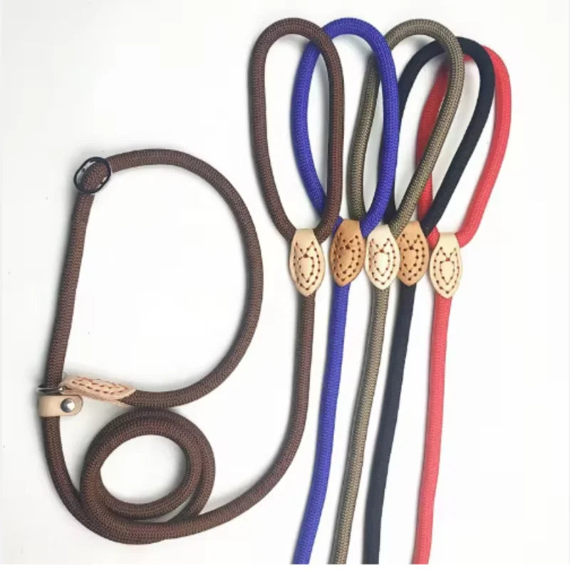 Adjustable Collar Harness Dog