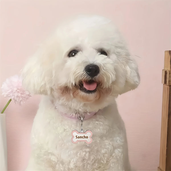 Customized Leather Dog Collar With Bone-Shaped Tag