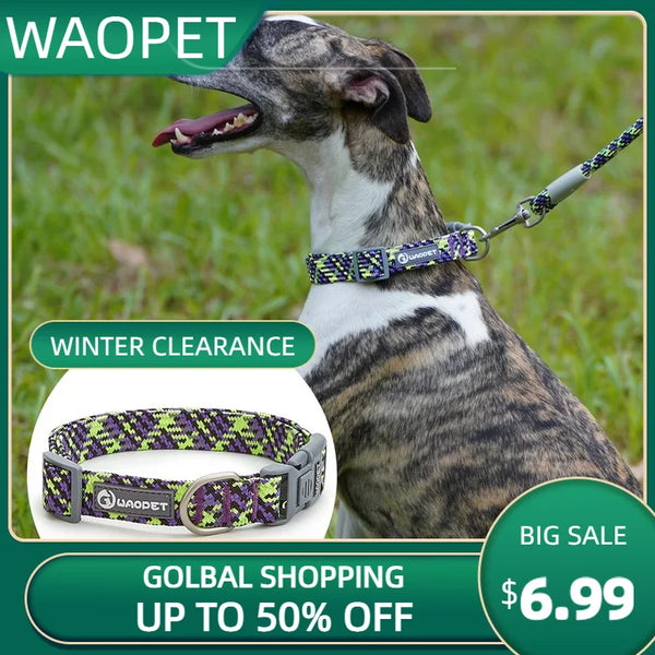 Adjustable Puppy Dogs Collar