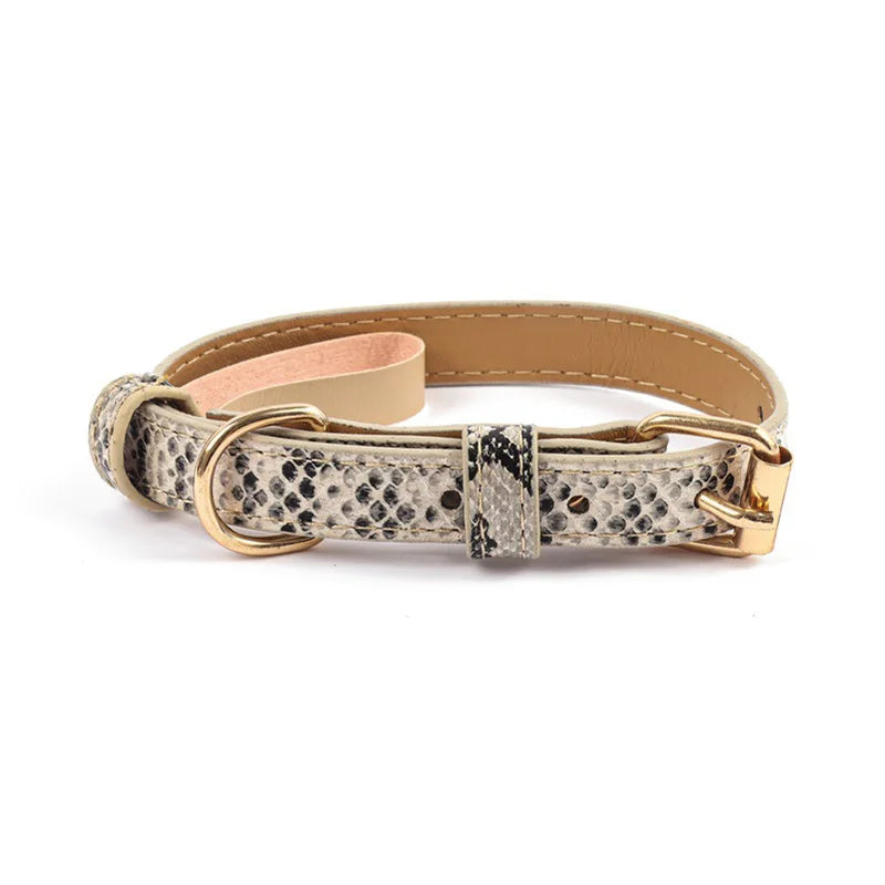 Adjustable Metal Buckle Dog Collar
