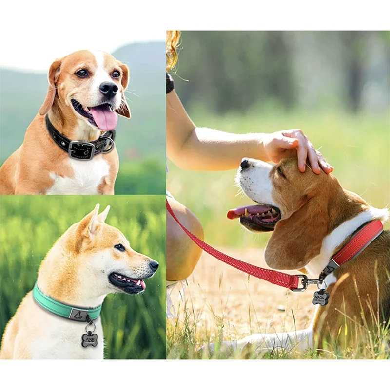 Adjustable Padded Dog Collar Soft Reflective Wide
