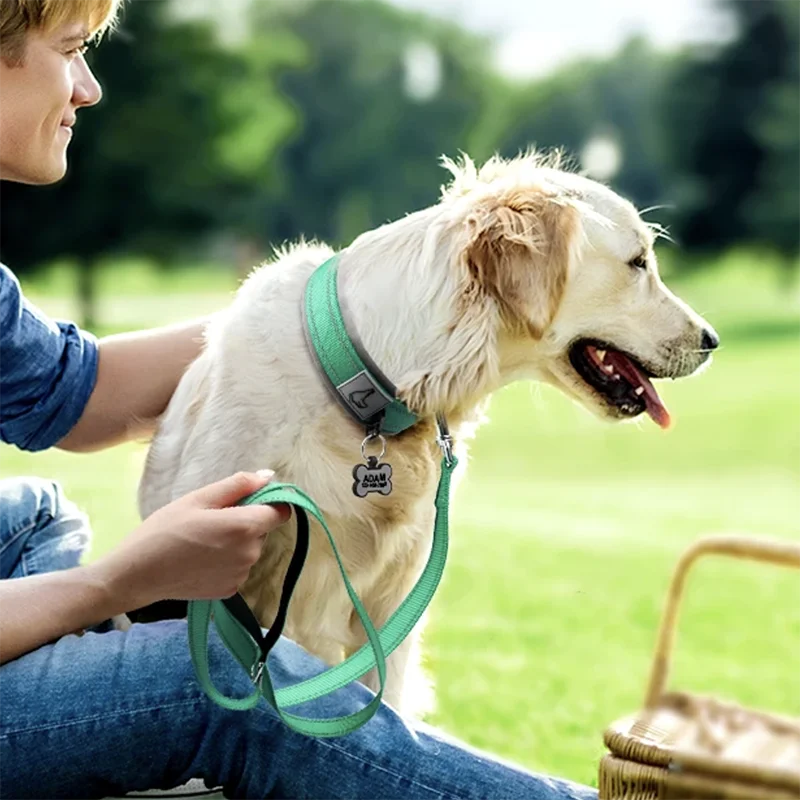 Adjustable Padded Dog Collar Soft Reflective Wide