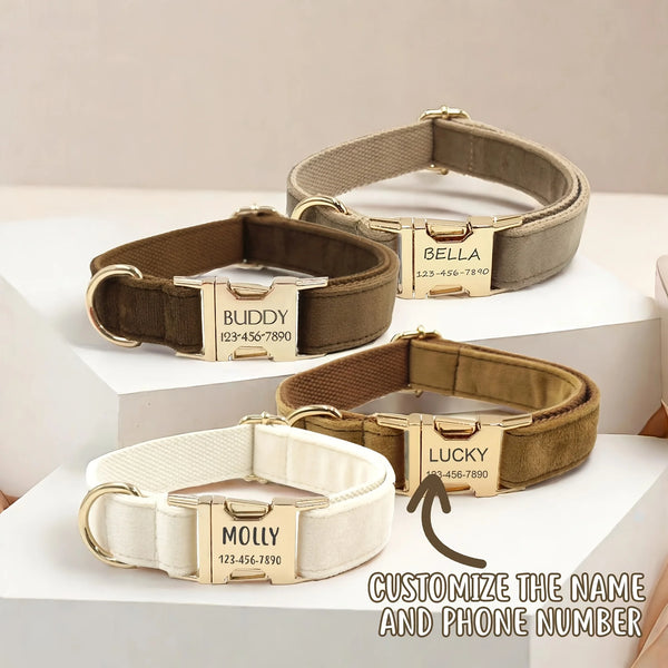 Personalized Dog Collar Velvet