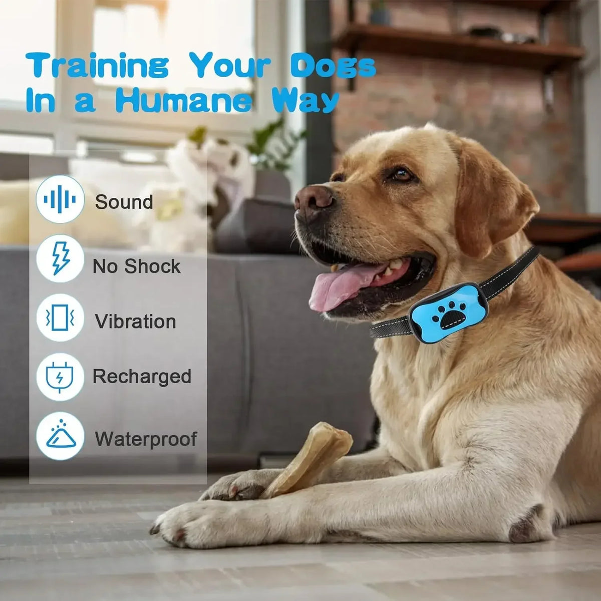 Anti Barking Dog Collar USB Device