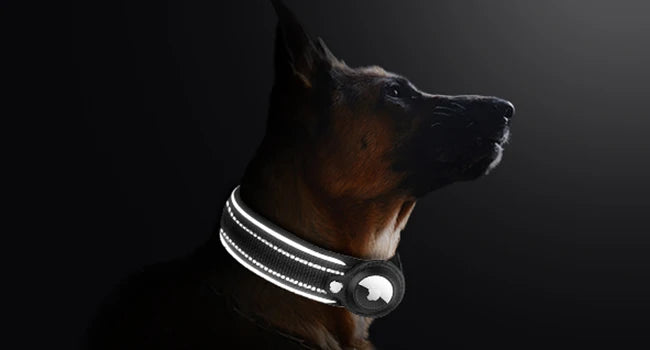 Adjustable AirTag Dog Collar Reflective
