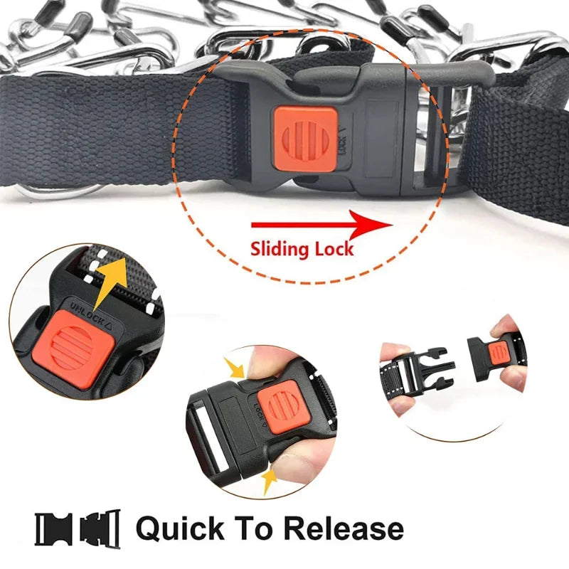 Dog Training Collar with Quick Release Buckle