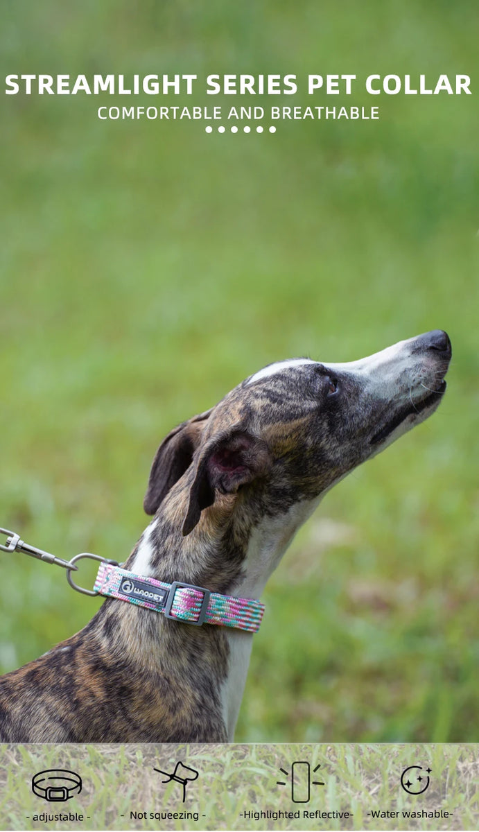 Adjustable Puppy Dogs Collar