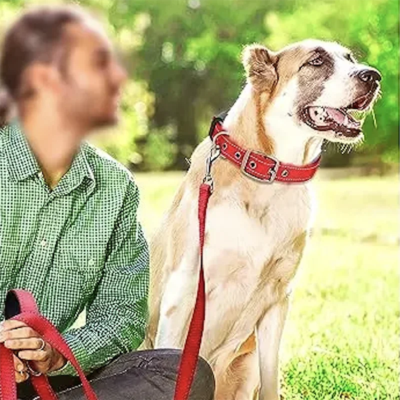 Adjustable Padded Dog Collar Soft Reflective Wide