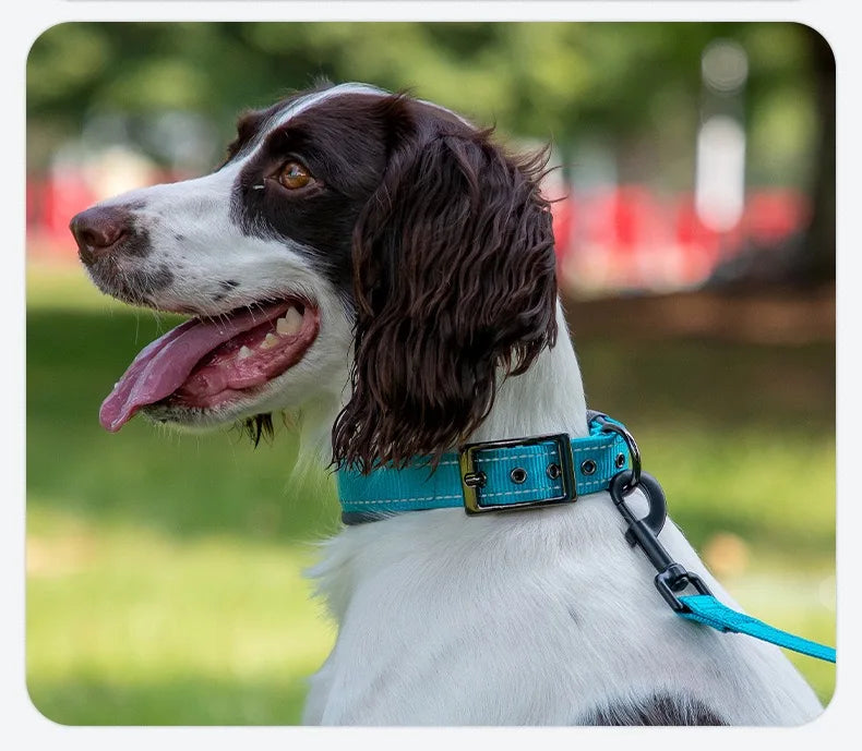 Adjustable Padded Dog Collar Soft Reflective Wide