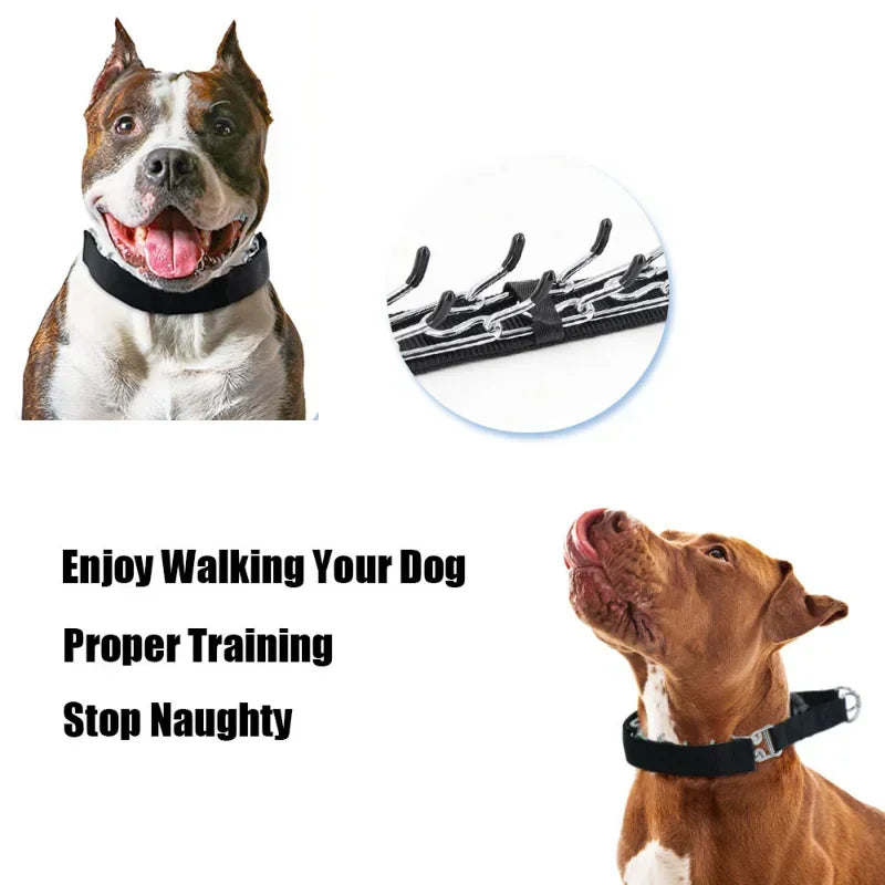 Dog Training Collar with Quick Release Buckle