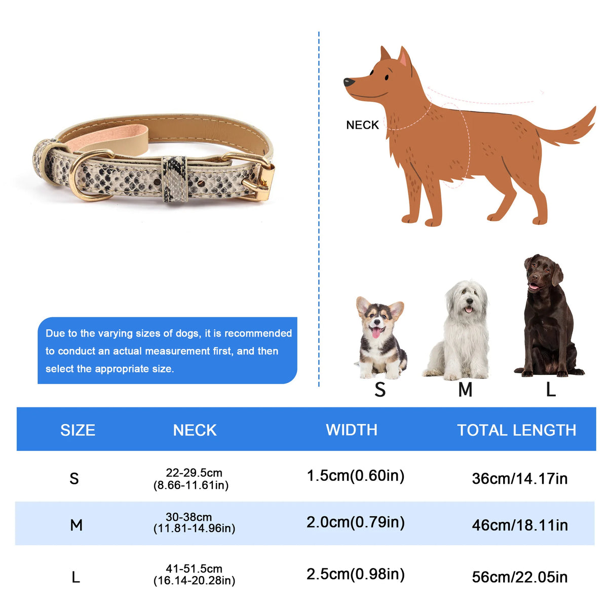 Adjustable Metal Buckle Dog Collar