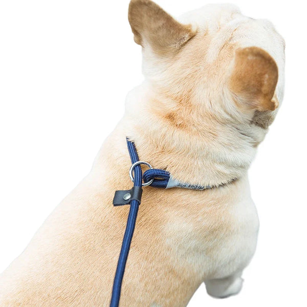 Adjustable Collar Harness Dog
