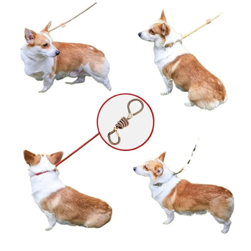 Adjustable Collar Harness Dog