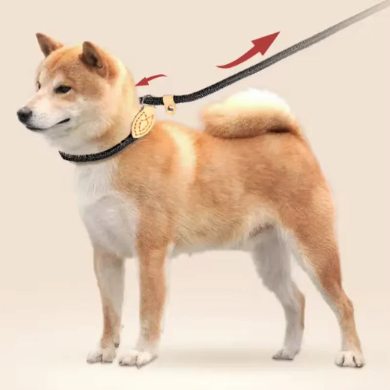 Adjustable Collar Harness Dog