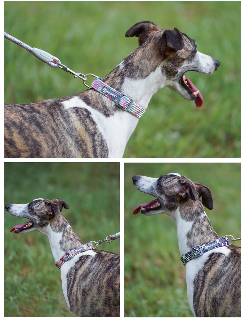 Adjustable Puppy Dogs Collar