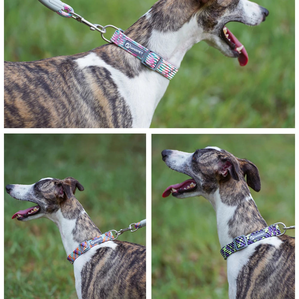 Adjustable Puppy Dogs Collar