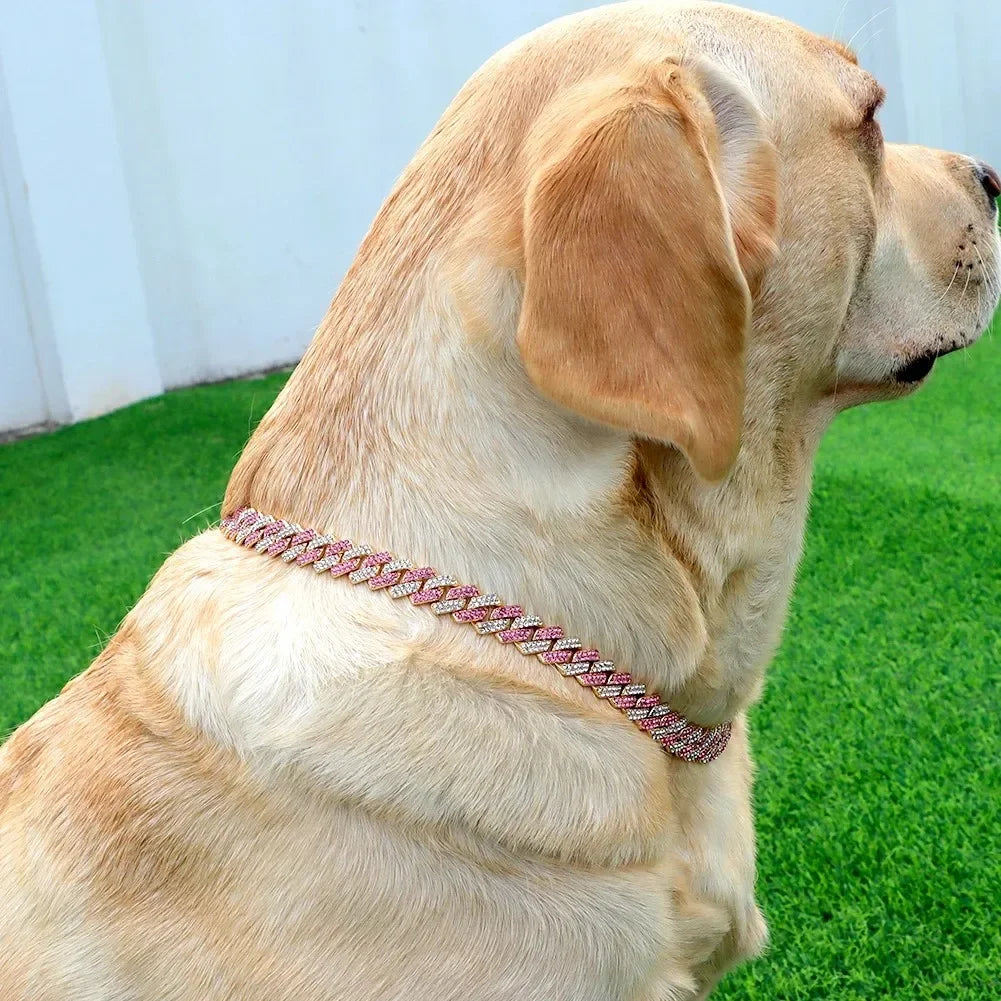 Metal Dog Chain Collar Diamond