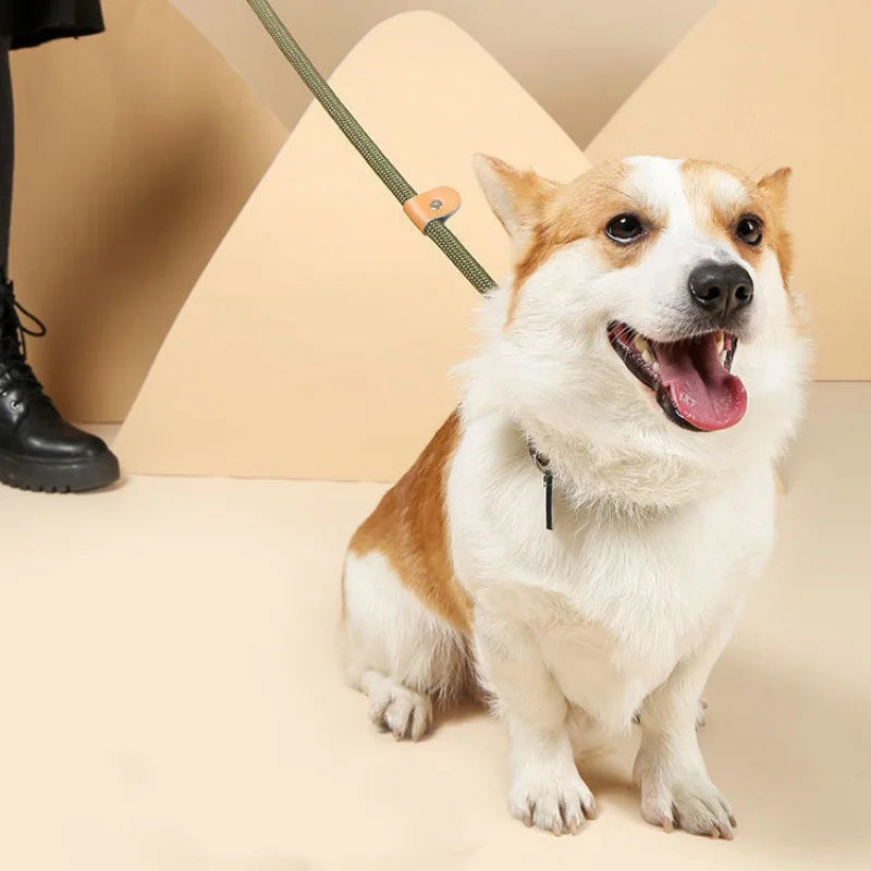 Adjustable Collar Harness Dog