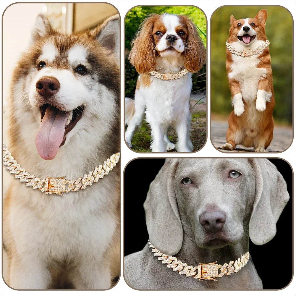 Metal Dog Chain Collar Diamond