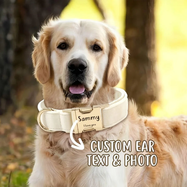 Personalized Dog Collar Velvet