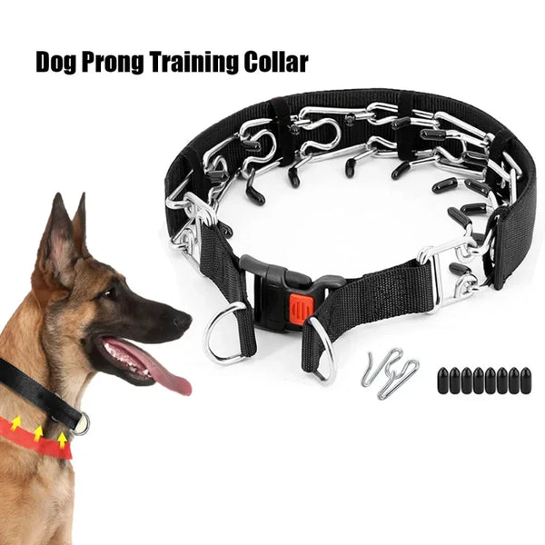 Dog Training Collar with Quick Release Buckle