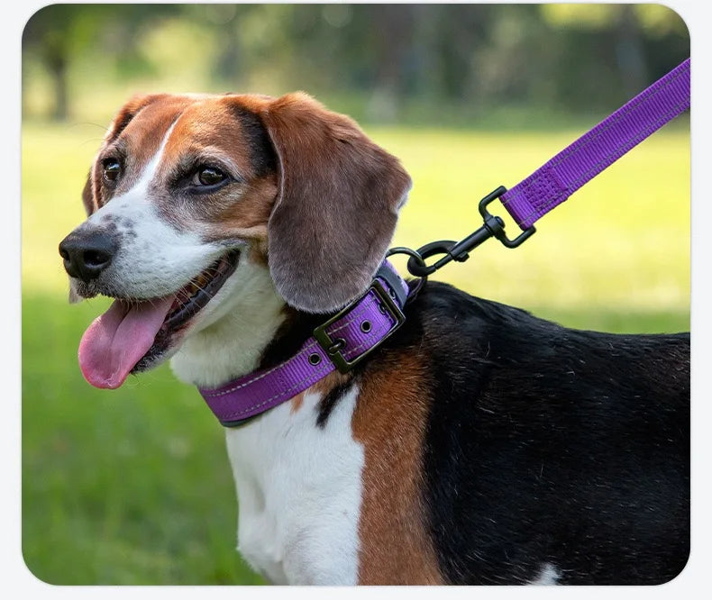 Adjustable Padded Dog Collar Soft Reflective Wide