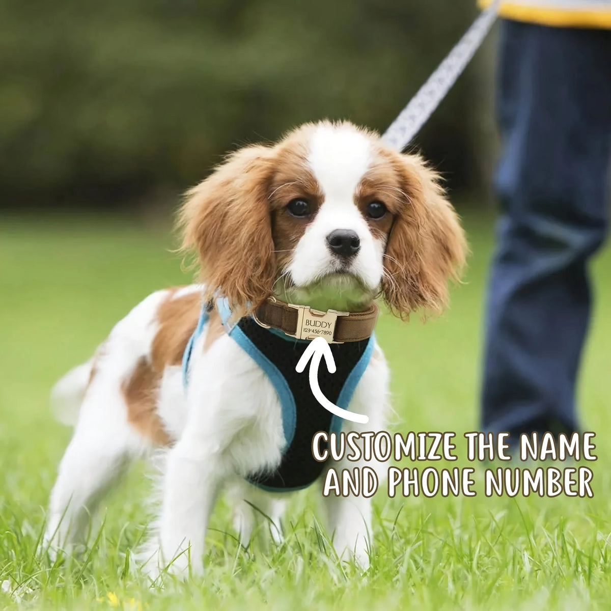 Personalized Dog Collar Velvet