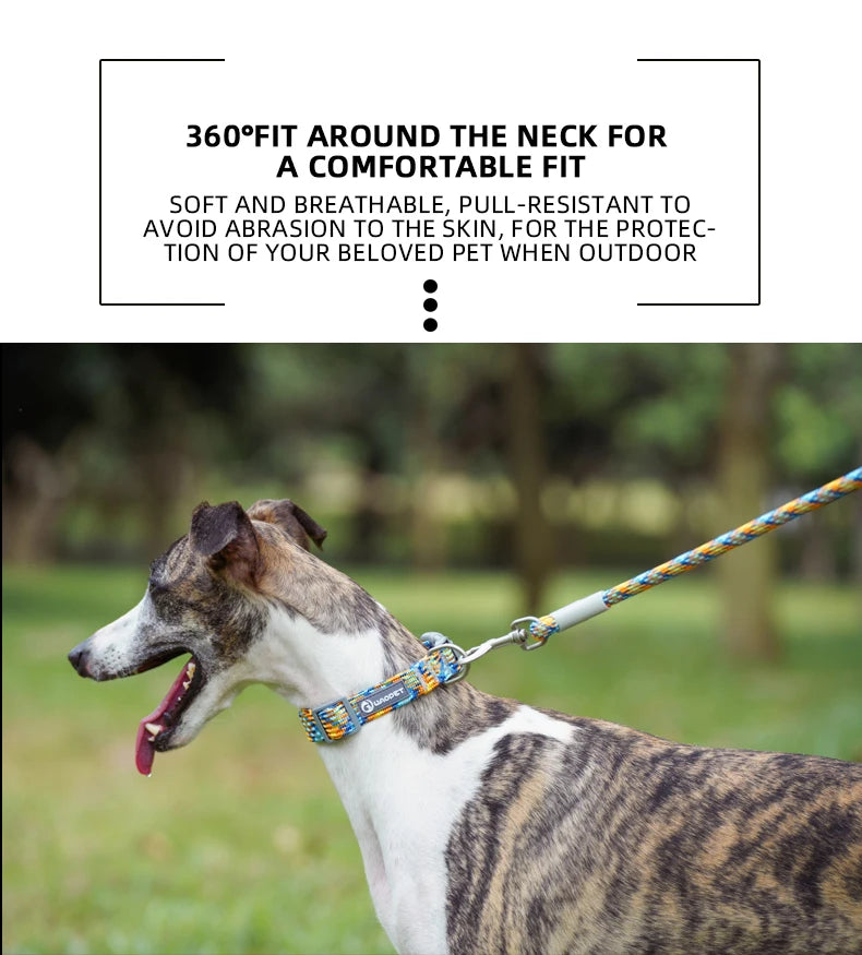 Adjustable Puppy Dogs Collar