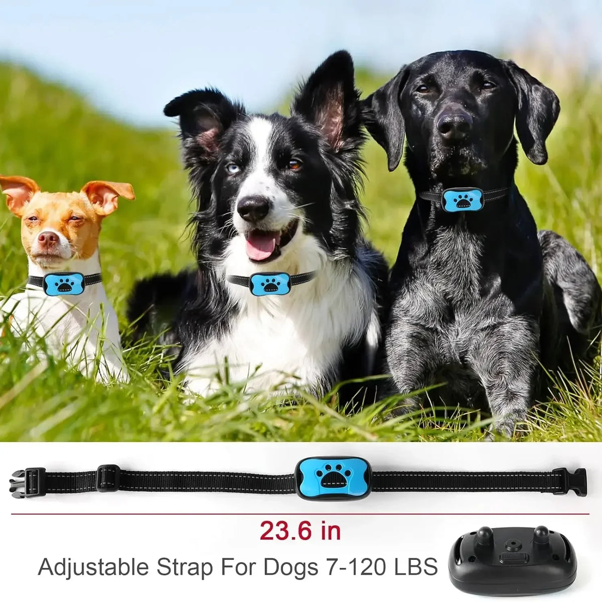 Anti Barking Dog Collar USB Device