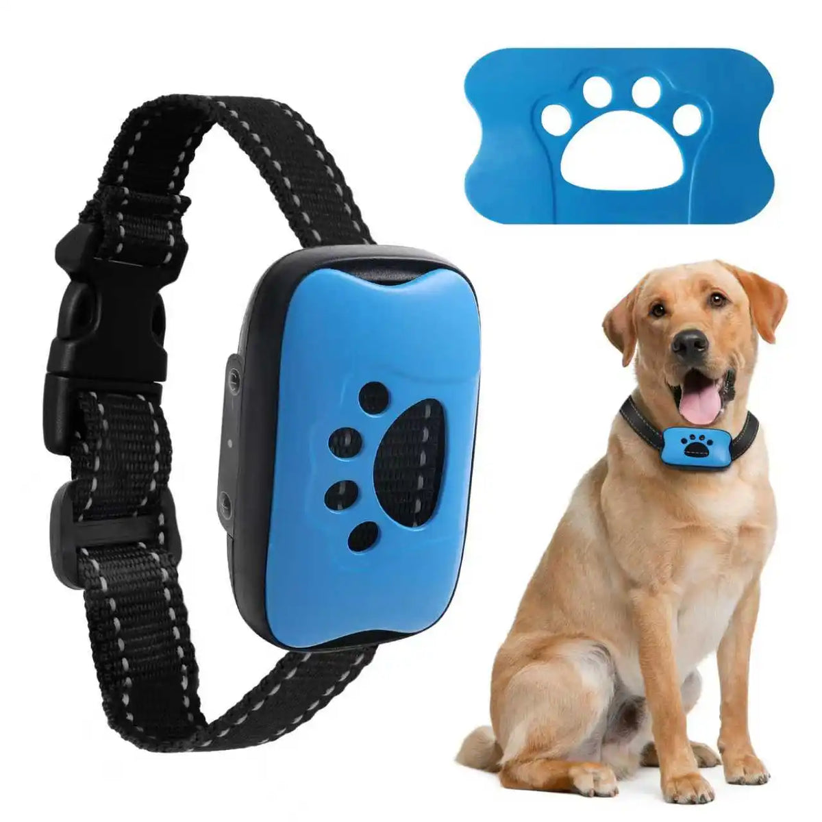 Anti Barking Dog Collar USB Device